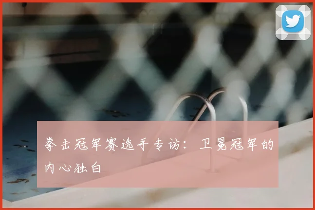 拳击冠军赛选手专访:卫冕冠军的内心独白