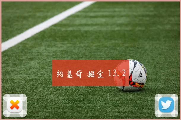 约基奇 掘金 13.2