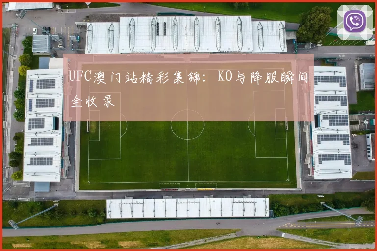 UFC澳门站精彩集锦:KO与降服瞬间全收录