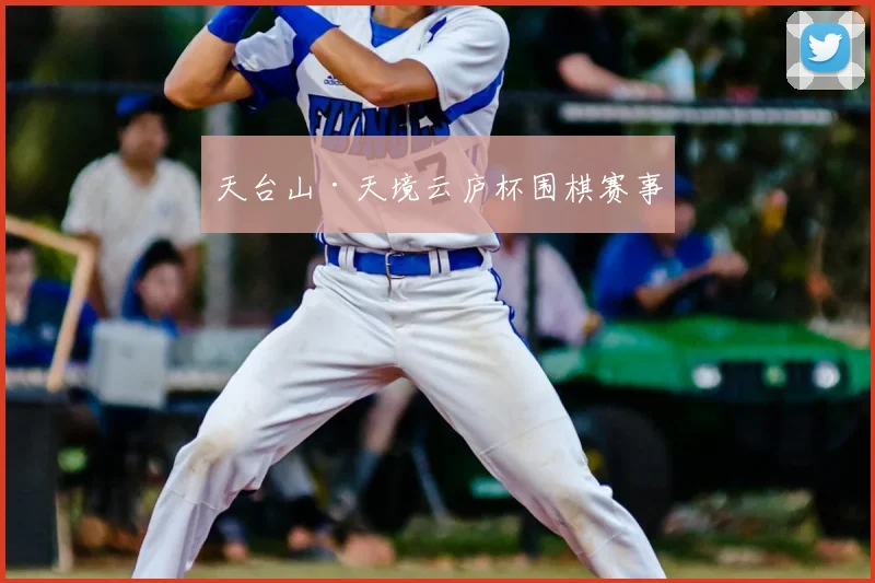 天台山·天境云庐杯围棋赛事
