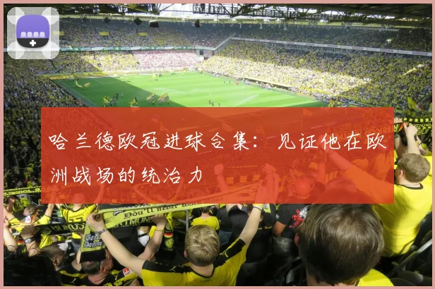哈兰德欧冠进球合集：见证他在欧洲战场的统治力