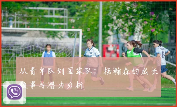 从青年队到国家队：杨瀚森的成长故事与潜力分析