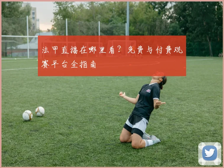 法甲直播在哪里看?免费与付费观赛平台全指南